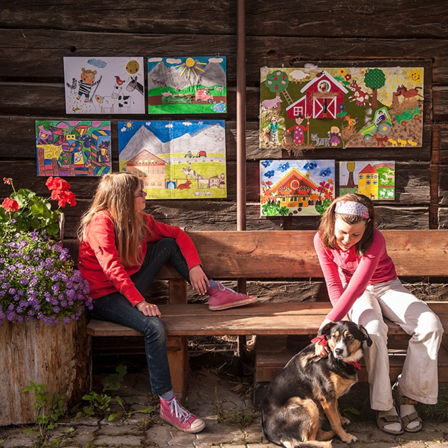 ferienbauernhof-altenmarkt008